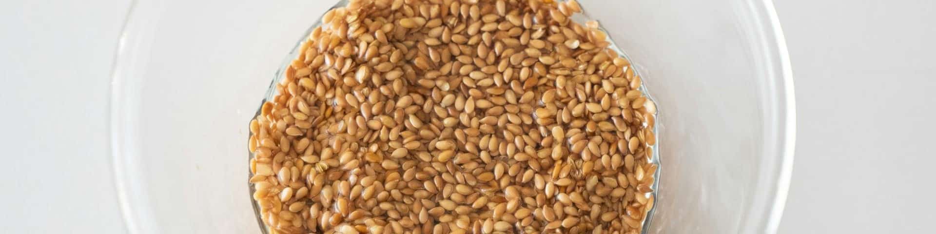 Farro : une céréale ancestrale pleine de bienfaits